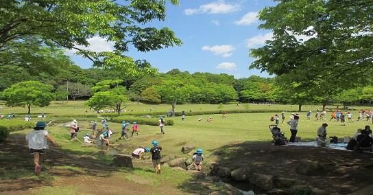④:21世紀の森と広場|山添と光源が話をした公園