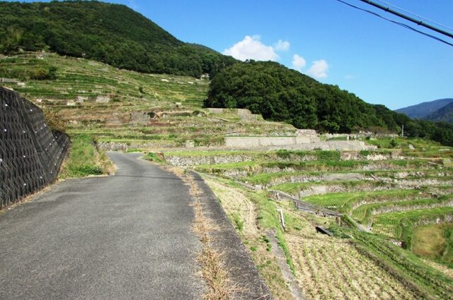 中山千枚田